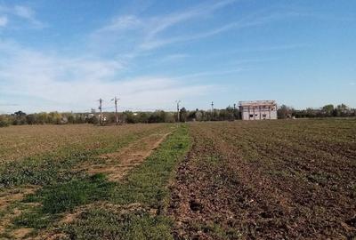Teren de 105 mp, în Snagov - 8