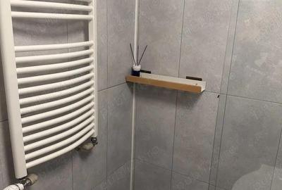 Apartament 2 camere-teiul doamnei-facultatea de constructii - 11