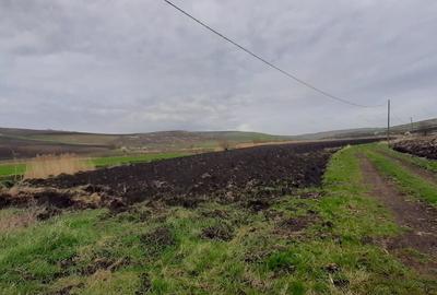 Teren agricol pentru investitii, zona Valea Calda -Iris - 5