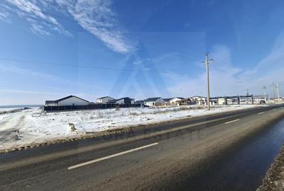 Teren intravilan 19397 mp PUZ si utilitati la DN in zona Buftea Lac - 8