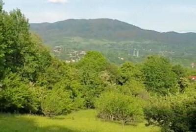 Teren de 600 mp, în Ghioșești - 5