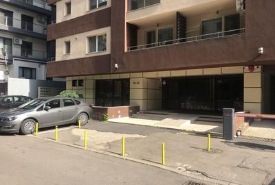 Birou, 230 mp în Dristor
