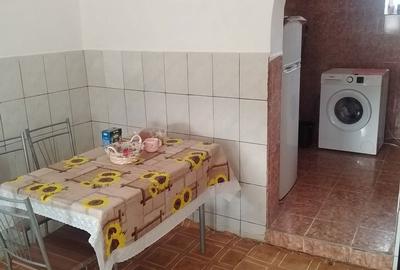Casă cu 3 camere în Macea - 1