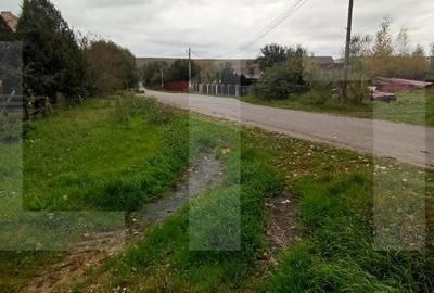 Teren de 920 mp construibil in zona Ciurila Teren de 920 mp construibil in zona Ciurila - 4