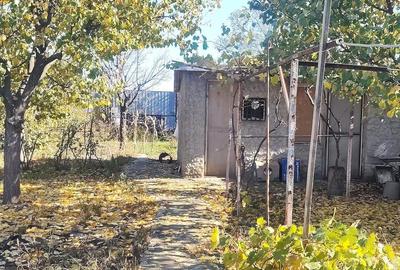 Casă cu 3 camere cu Teren 350 Mp în Brăilița - 3