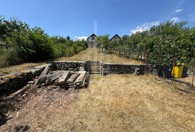 Casa cu 3 camere si teren | 111mp utili 450mp teren | Daia Noua | EXCLUSIVITATE - 4