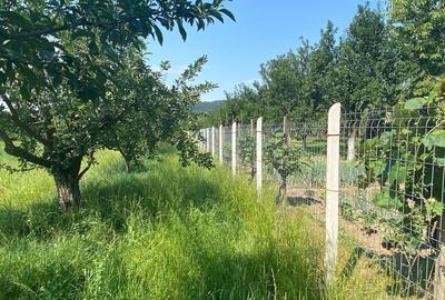 Teren de 2640 mp, în Albești - 5