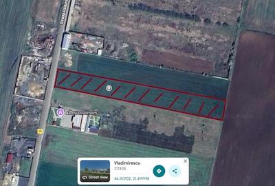 Teren de 10000 mp, în Vladimirescu - 1