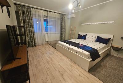 Apartament 1 camera de inchiriat Nae Leonard IFR - 3