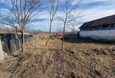 Teren de 1400 mp, în Telești - 4