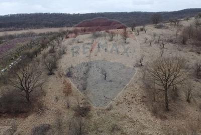 Teren Construcții intravilan de 1654 mp, în Central - 1