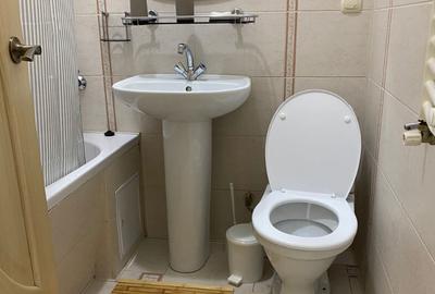 Apartament cu 2 camere de inchiriat in zona Teiul Doamnei - 3