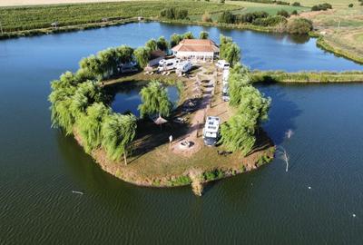 Teren agricol extravilan de 46640 mp, în Orțișoara - 2