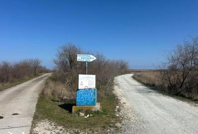 Teren de 1000 mp, în Corbu - 19