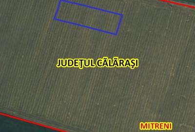 Teren agricol extravilan de 14715 mp, în Mitreni - 1