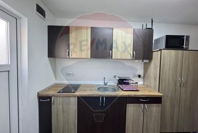 Casă cu 2 camere cu Teren 381 Mp în Pârneava - 3