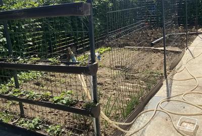 Vila +etaj individuala 130mp.curte.450mp. berceni - 8