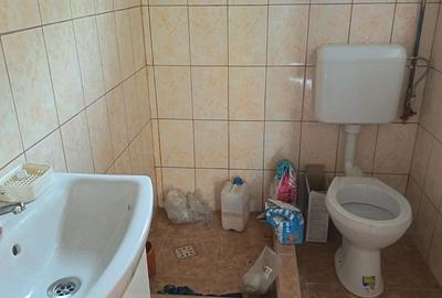 Casă cu 2 camere cu Teren 1850 Mp în Valea Mare de Criș - 3