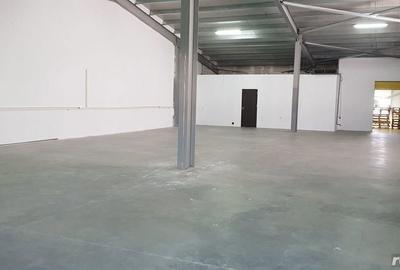 Spațiu comercial, de 4,400 mp, în Tunari - 3