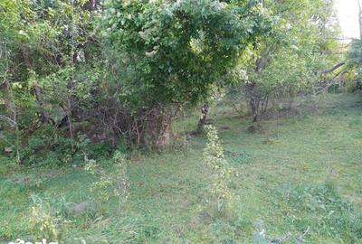 Teren de 18452 mp, în Moroeni - 6