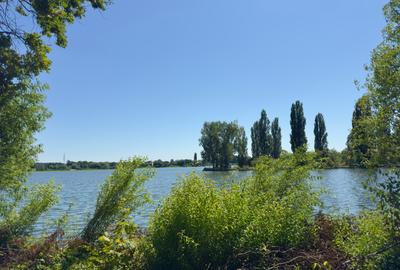 Teren 4800mp | Padurea Snagov | Deschidere larga la Lacul Snagov | Investitie - 5