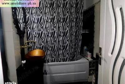 Apartament 3 camere de vanzare: Ghe. Doja(vedere parc Mihai Viteazul) Apartament 3 camere de vanzare: Ghe. Doja(vedere parc Mihai Viteazul) - 7