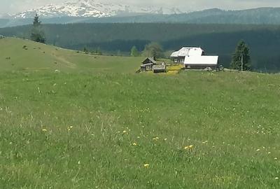 Teren de 45000 mp, în Ortoaia - 6