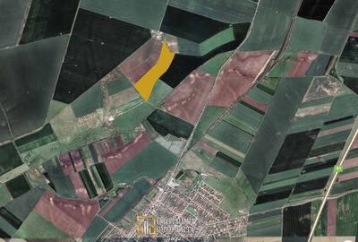 Teren agricol 12,28 ha Sagu - acces DN69 & A1, acum 1,38 EUR/m