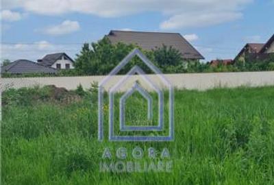 Teren , Sf Ilie Nou, zona Profi - 3