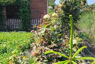 Casă individuală cu 3 camere cu Teren 500 Mp în Ceardac - 3