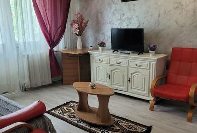Apartament cu 2 camere semidecomandat în Florilor - 3