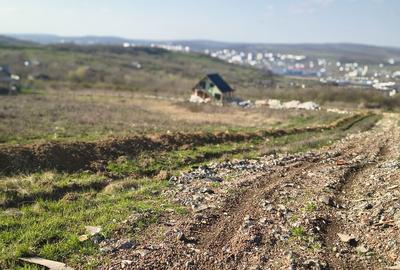 Spațiu comercial, în Vlădiceni - 2