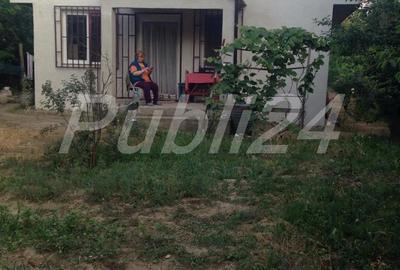 Casă cu 3 camere cu Teren 5000 Mp în Pătlăgeanca - 9