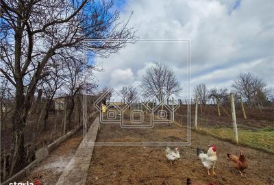 Casă cu 4 camere cu Teren 540 Mp în Șura Mare - 8
