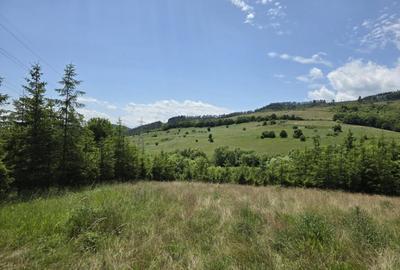 Teren splendid Garcina - 6