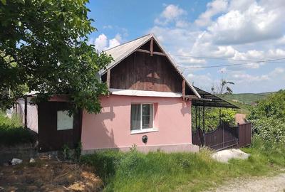 Casă cu 1 camere cu Teren 1002 Mp în Cojocna - 9