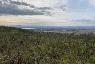 Teren extravilan de vanzare in Tileagd - 3166 mp cu panorama superba - 6