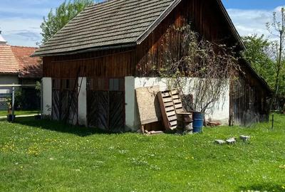 Vand casa in Bran - 1