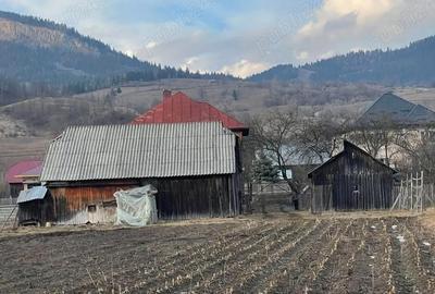 Casă cu Teren 22 Mp în Ilva Mare - 6