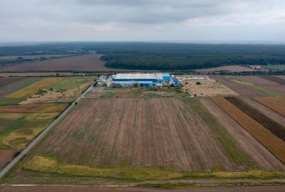 Teren extravilan 5 hectare ( zona industriala ) ?ag - 4