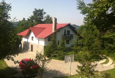 Casă cu 7 camere în Piatra (Provița de Jos) - 12