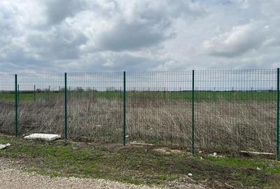 Teren Construcții intravilan de 539 mp, în Tunari - 14