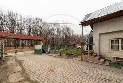 Casa cu lac priveliste superba spre padure 0% Comision - 11