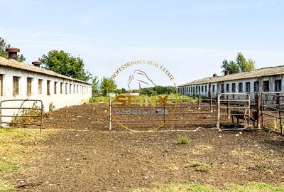 Chiselet, Calarasi, teren intravilan 62000 mp, ferma, logistica, depozitare - 11