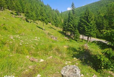 Teren de 1000 mp, în Măguri - 3