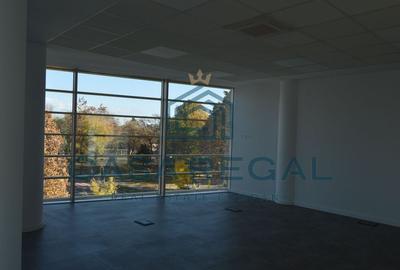 Spatiu de birouri, 160mp utili, zona Cantemir - 11