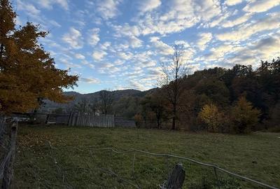 Teren de 3500 mp, în Cuejdiu - 5