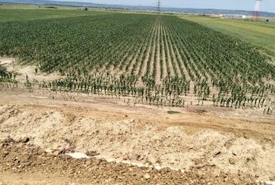 Teren Oarja de 8 400 mp, langa Pasarela A1, 5,5 euro/mp la Pretul 46 200 Euro.