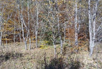 Teren de 460 mp, în Central - 2