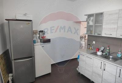 Apartament 2 camere + apartament cu 1 camera de vanzare ultracentral - 15